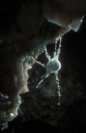 Galerie: Stollen1